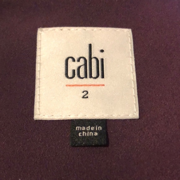 Cabi Treasure Paisley Fit & Flare Dress Size 2 Style 3461 - Picture 4 of 6